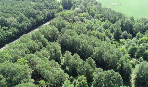 Photo #25 of Off Bell Road, Ivor, VA 2.3 acres