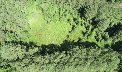 Photo #26 of Off Bell Road, Ivor, VA 2.3 acres