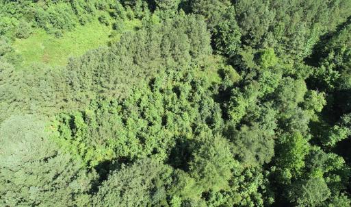 Photo #27 of Off Bell Road, Ivor, VA 2.3 acres