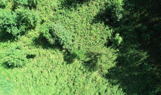 Photo #28 of Off Bell Road, Ivor, VA 2.3 acres