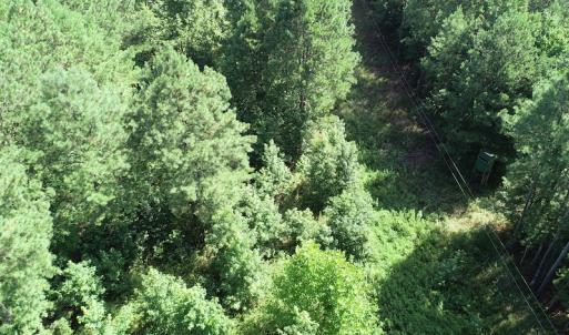 Photo #29 of Off Bell Road, Ivor, VA 2.3 acres