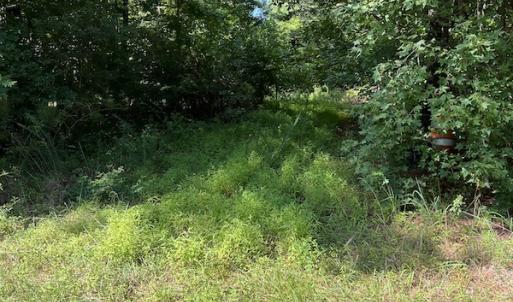 Photo #4 of Off Bell Road, Ivor, VA 2.3 acres