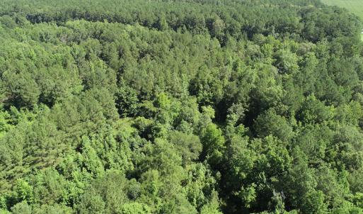 Photo #32 of Off Bell Road, Ivor, VA 2.3 acres