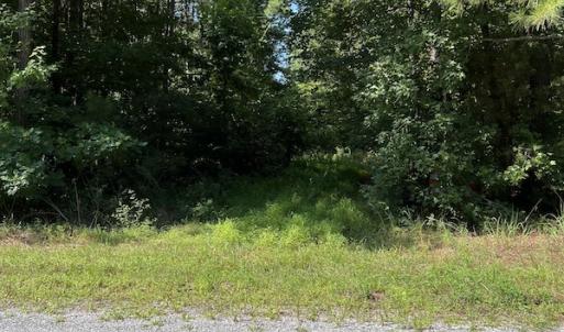 Photo #5 of Off Bell Road, Ivor, VA 2.3 acres