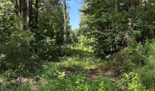 Photo #6 of Off Bell Road, Ivor, VA 2.3 acres