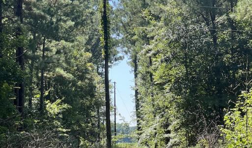 Photo #7 of Off Bell Road, Ivor, VA 2.3 acres