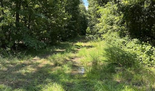 Photo #8 of Off Bell Road, Ivor, VA 2.3 acres