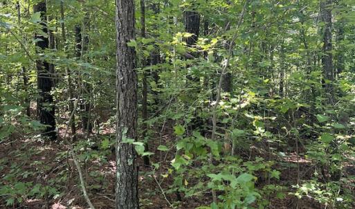Photo #9 of Off Bell Road, Ivor, VA 2.3 acres