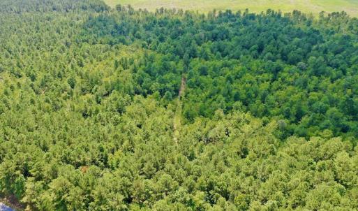 Photo #29 of SOLD property in Off Dixon Road, Bethel, NC 33.0 acres