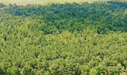 Photo #30 of SOLD property in Off Dixon Road, Bethel, NC 33.0 acres