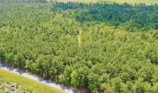 Photo #31 of SOLD property in Off Dixon Road, Bethel, NC 33.0 acres