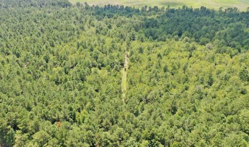Photo #32 of SOLD property in Off Dixon Road, Bethel, NC 33.0 acres