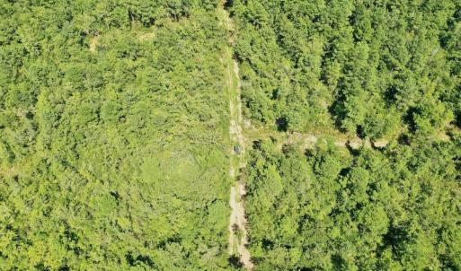 Photo #33 of SOLD property in Off Dixon Road, Bethel, NC 33.0 acres
