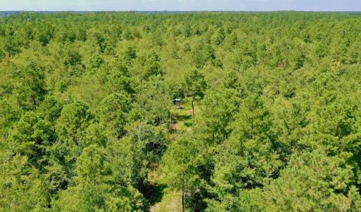 Photo #35 of SOLD property in Off Dixon Road, Bethel, NC 33.0 acres