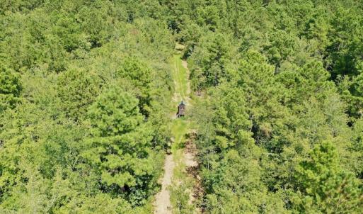 Photo #36 of SOLD property in Off Dixon Road, Bethel, NC 33.0 acres