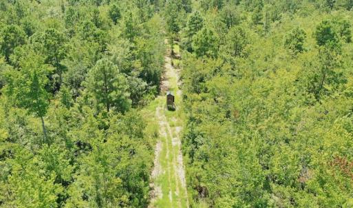 Photo #37 of SOLD property in Off Dixon Road, Bethel, NC 33.0 acres