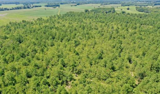 Photo #39 of SOLD property in Off Dixon Road, Bethel, NC 33.0 acres