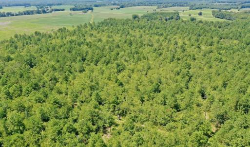 Photo #39 of SOLD property in Off Dixon Road, Bethel, NC 33.0 acres