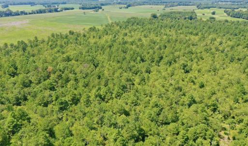 Photo #40 of SOLD property in Off Dixon Road, Bethel, NC 33.0 acres