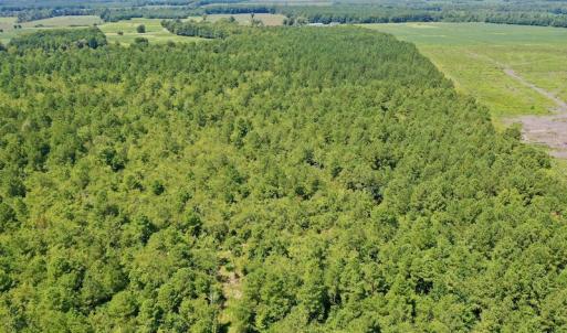 Photo #41 of SOLD property in Off Dixon Road, Bethel, NC 33.0 acres