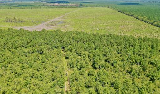 Photo #42 of SOLD property in Off Dixon Road, Bethel, NC 33.0 acres