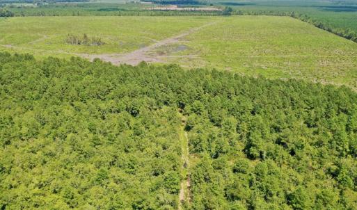 Photo #43 of SOLD property in Off Dixon Road, Bethel, NC 33.0 acres