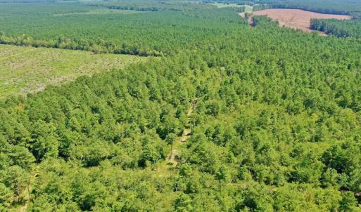 Photo #44 of SOLD property in Off Dixon Road, Bethel, NC 33.0 acres