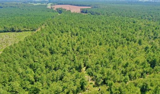 Photo #45 of SOLD property in Off Dixon Road, Bethel, NC 33.0 acres