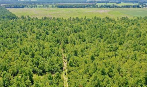 Photo #47 of SOLD property in Off Dixon Road, Bethel, NC 33.0 acres