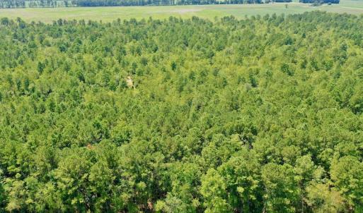 Photo #48 of SOLD property in Off Dixon Road, Bethel, NC 33.0 acres