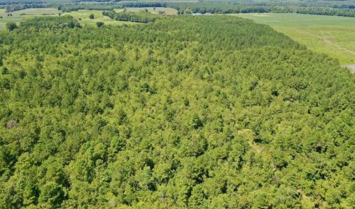 Photo #49 of SOLD property in Off Dixon Road, Bethel, NC 33.0 acres
