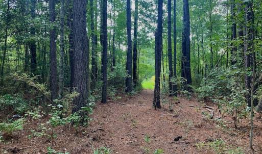 Photo #3 of SOLD property in Off Dixon Road, Bethel, NC 33.0 acres
