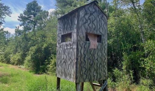 Photo #6 of SOLD property in Off Dixon Road, Bethel, NC 33.0 acres