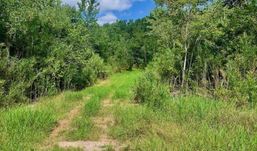 Photo #8 of SOLD property in Off Dixon Road, Bethel, NC 33.0 acres