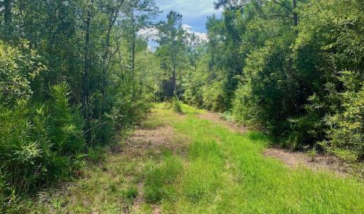 Photo #9 of SOLD property in Off Dixon Road, Bethel, NC 33.0 acres