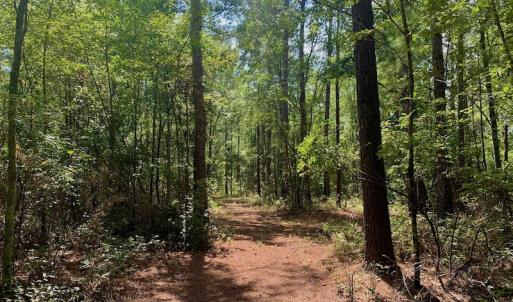 Photo #12 of SOLD property in Off Dixon Road, Bethel, NC 33.0 acres