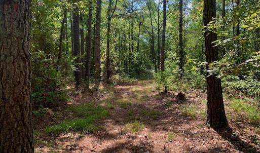 Photo #13 of SOLD property in Off Dixon Road, Bethel, NC 33.0 acres
