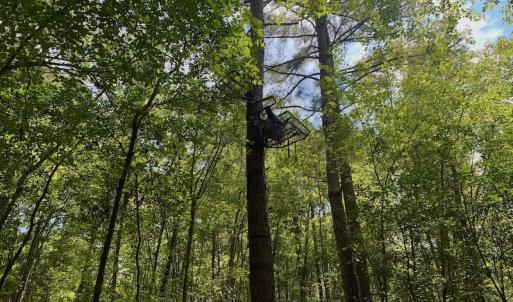Photo #15 of SOLD property in Off Dixon Road, Bethel, NC 33.0 acres