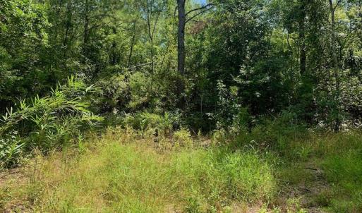 Photo #19 of SOLD property in Off Dixon Road, Bethel, NC 33.0 acres