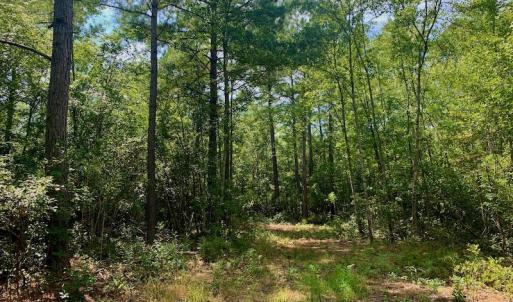 Photo #20 of SOLD property in Off Dixon Road, Bethel, NC 33.0 acres