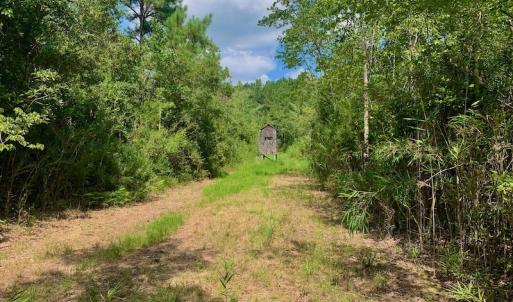 Photo #22 of SOLD property in Off Dixon Road, Bethel, NC 33.0 acres