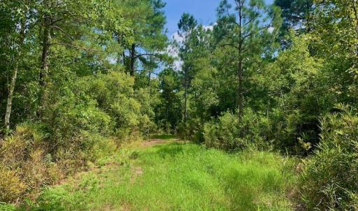 Photo #24 of SOLD property in Off Dixon Road, Bethel, NC 33.0 acres