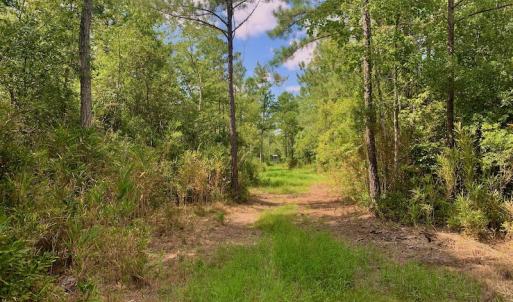 Photo #25 of SOLD property in Off Dixon Road, Bethel, NC 33.0 acres