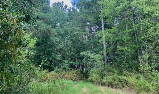 Photo #28 of SOLD property in Off Dixon Road, Bethel, NC 33.0 acres