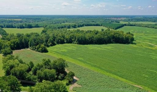 Photo #3 of SOLD property in Off Hwy 903, Scotland Neck, NC 26.7 acres