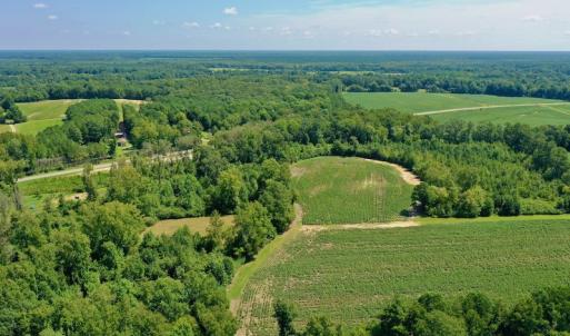 Photo #5 of SOLD property in Off Hwy 903, Scotland Neck, NC 26.7 acres