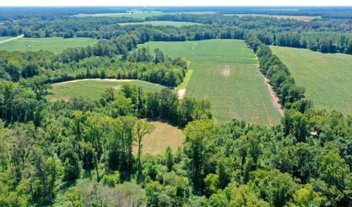 Photo #7 of SOLD property in Off Hwy 903, Scotland Neck, NC 26.7 acres