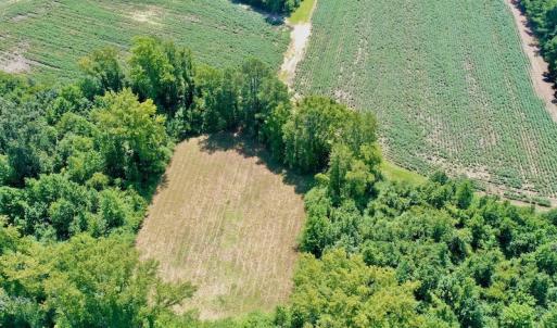 Photo #8 of SOLD property in Off Hwy 903, Scotland Neck, NC 26.7 acres