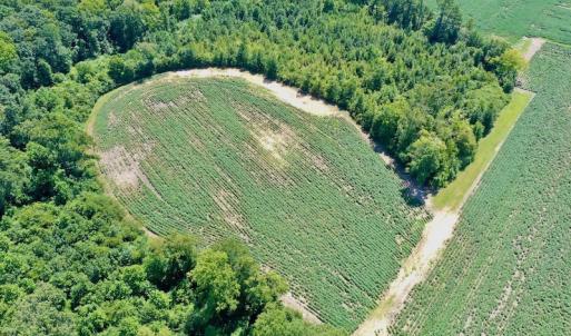 Photo #9 of SOLD property in Off Hwy 903, Scotland Neck, NC 26.7 acres