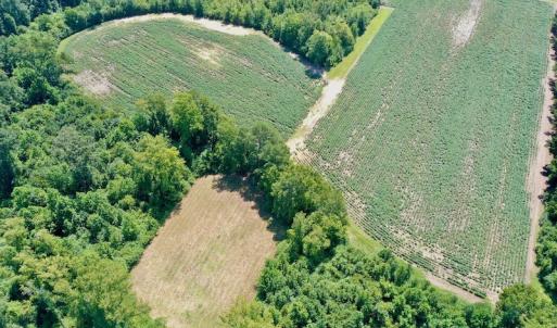Photo #10 of SOLD property in Off Hwy 903, Scotland Neck, NC 26.7 acres